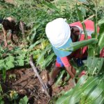 bahia-lanca-novo-planejamento-ambiental-com-acoes-para-preservacao