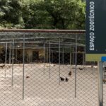 parque-da-agua-branca-isola-passaros-em-prevencao-a-gripe-aviaria