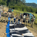 notificacao-bate-recorde,-e-baloes-preocupam-policia-militar-de-sao-paulo