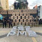 policia-apreende-300-mil-macos-de-cigarro-contrabandeados-em-goias