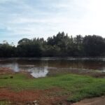 bahia-e-estado-que-mais-desmatou-caatinga-e-cerrado-no-pais