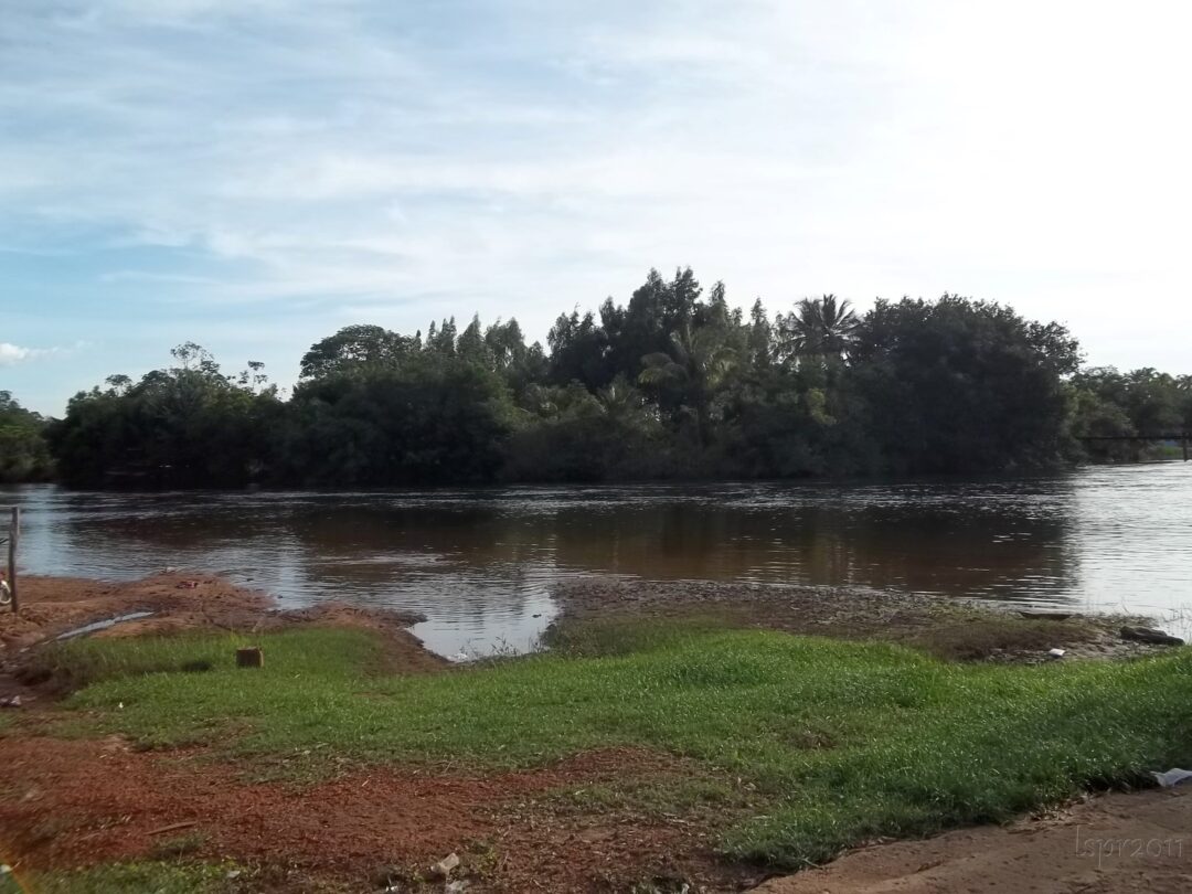 bahia-e-estado-que-mais-desmatou-caatinga-e-cerrado-no-pais