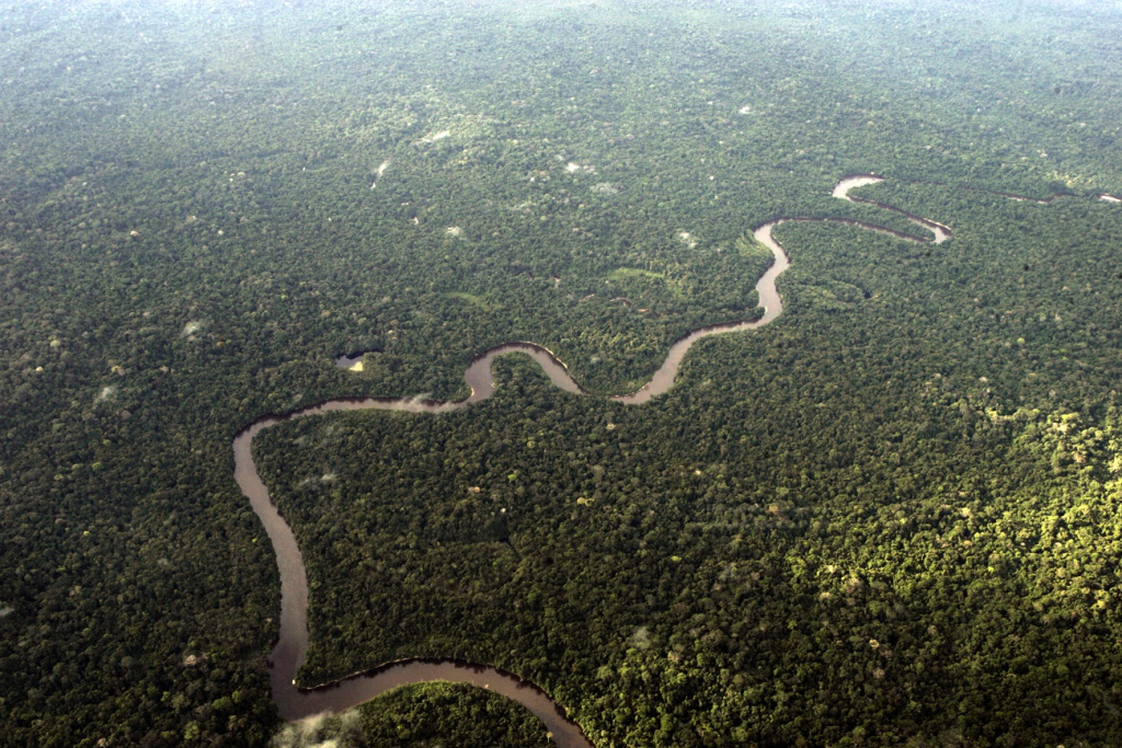 cpi-das-ongs-na-amazonia-define-colegiado-e-e-instalada-no-senado