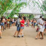 feira-vegana-traz-clima-de-sao-joao-ao-parque-da-cidade-neste-fim-de-semana